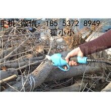 全自動修枝剪，高效又省力