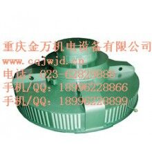 T、TL系列電機(jī)