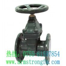 TOZEN滔辰鑄鐵彈性暗桿閘閥